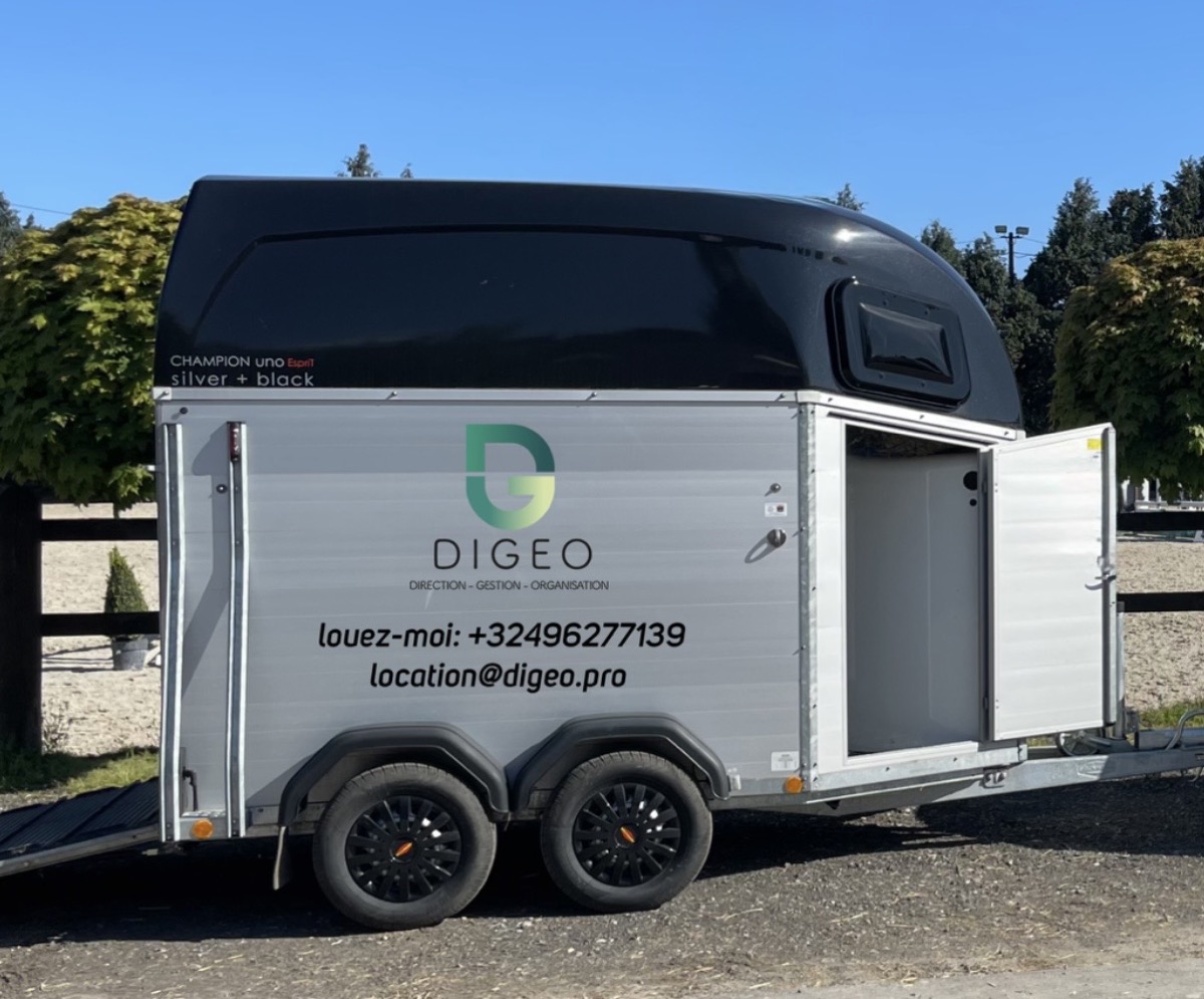 Van 1 cheval DIGEO, gris avec porte latérale ouverte